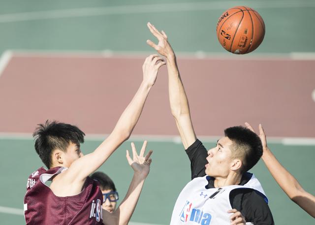 欧美一区二区三区免费
