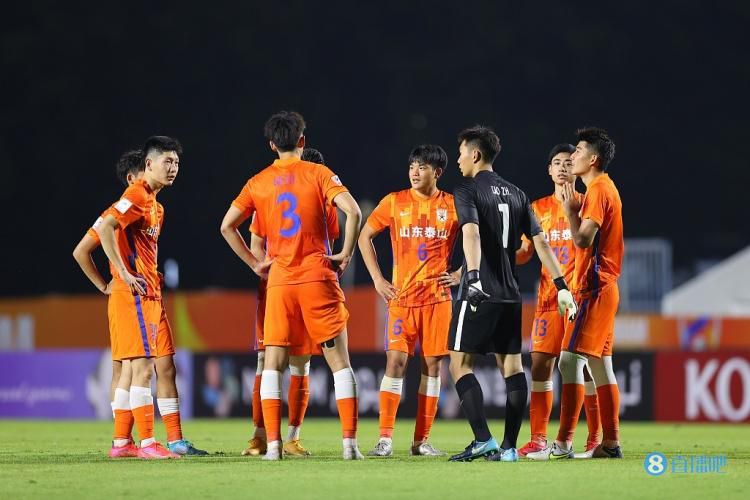 久久99精品久久久久久久野外