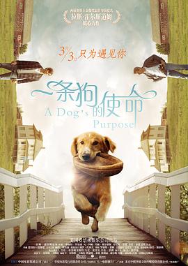 国产91po在线观看免费观看