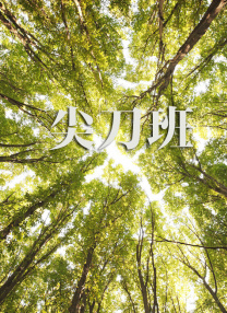 欧美妇交
