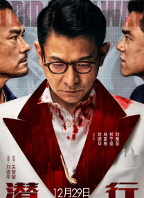 欧美黄带一级公司
