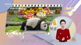 国产亚洲欧美久久久久